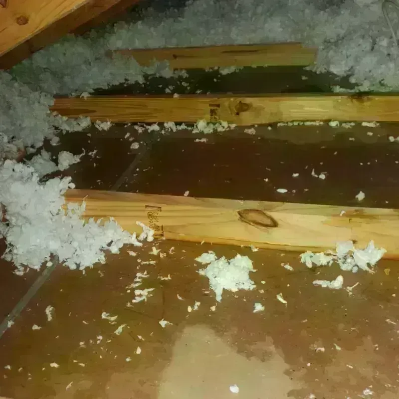 Attic Water Damage in Yellowstone County, MT